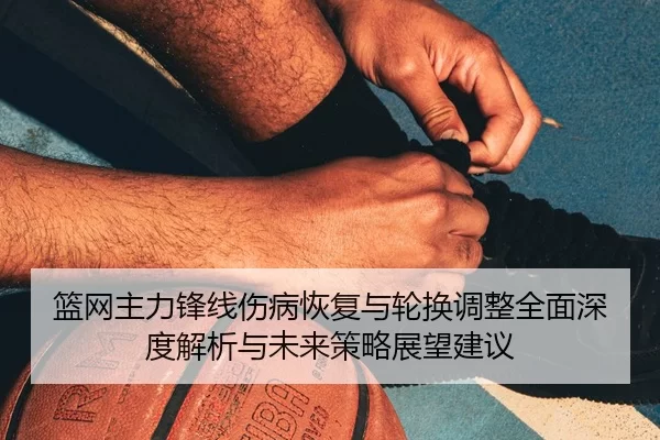lan-wang-zhu-li-feng-xian-shang-bing-hui-fu-yu-lun-huan-tiao-zheng-quan-mian-shen-du-jie-xi-yu-wei-lai-ce-lve-zhan-wang-2-662.jpg